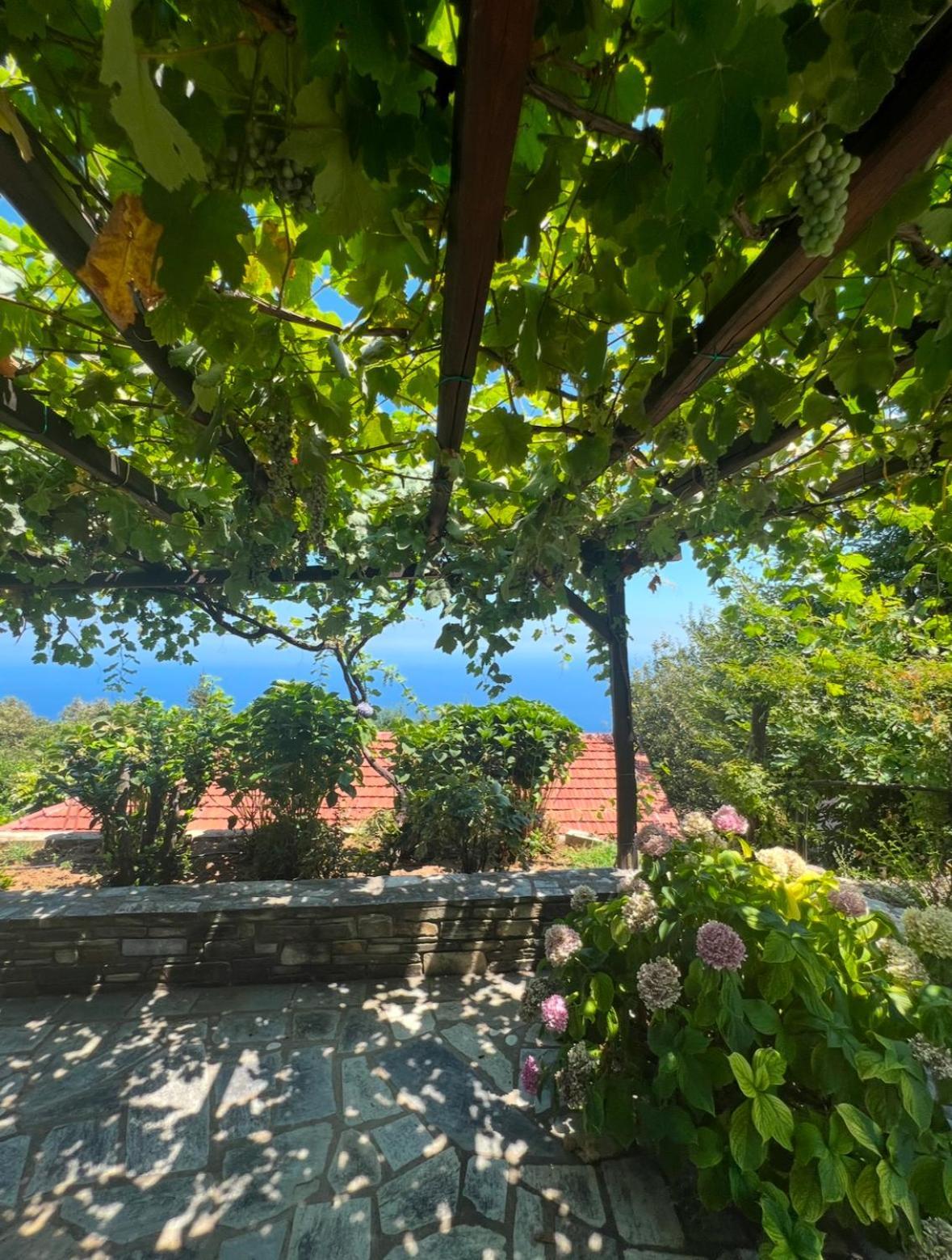 Om Living Pelion Lägenhet Áyios Dhimítrios Exteriör bild